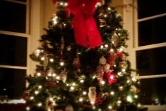 photo-7